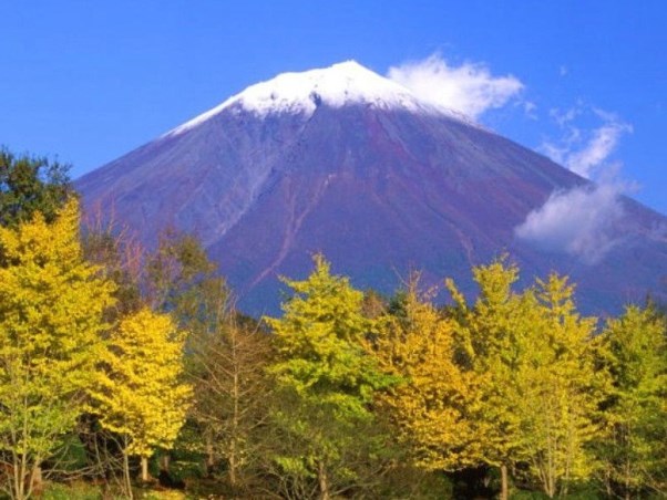 富士山